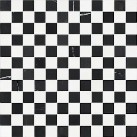 Shaw Eterna - 12" x 12" Floor and Wall Tile - Semi-Gloss Visual - Sold by Sheet Alps Thassos