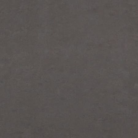 Shaw Sample only of CS09M Charcoal