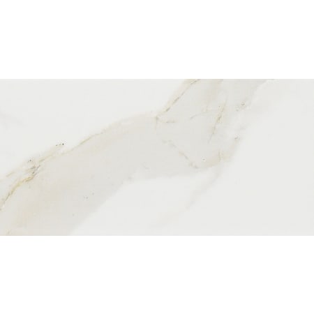 Shaw Sample only of CS17M Calacatta