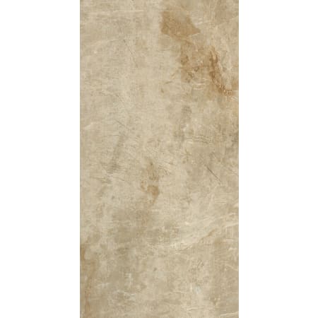 Shaw 12" x 24" Rectangle Floor Tile - Sold by Carton (11.62 SF/Carton) Brown
