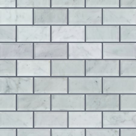 Shaw Sample only of CS58P Bianco Carrara