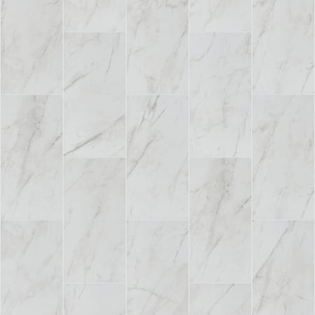 Shaw Sample only of CS85X Carrara