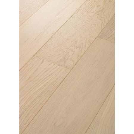 Shaw Sample Only of SW753 Base