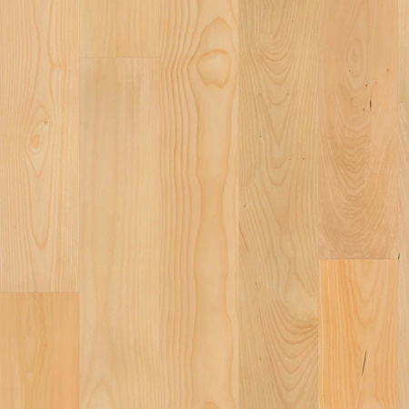 Shaw The Gallery 7" Wide Smooth Engineered Maple Hardwood Flooring - Sold by Carton (29.12 SF/Carton) Natural Hard Maple