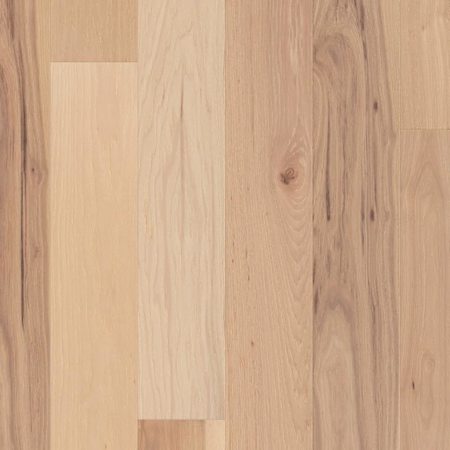 Shaw Repel 7" Wide Wire Brushed Engineered Hickory Hardwood Flooring - Sold by Carton (22.14 SF/Carton) Intrinsic