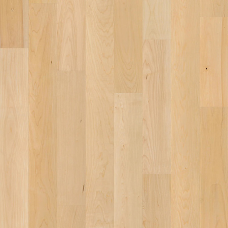 Shaw The Gallery 5" Wide Smooth Engineered Maple Hardwood Flooring - Sold by Carton (26.24 SF/Carton) Natural Hard Maple