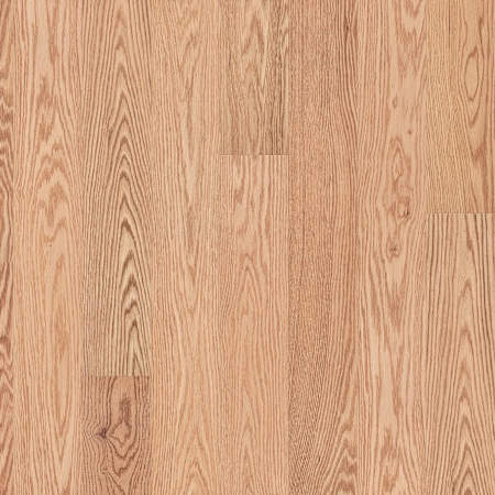 Shaw The Gallery 5" Wide Smooth Engineered Red Oak Hardwood Flooring - Sold by Carton (20.77 SF/Carton) Natural Red Oak