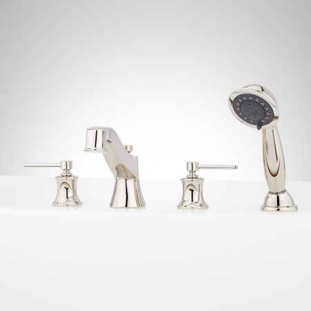 Polished Nickel