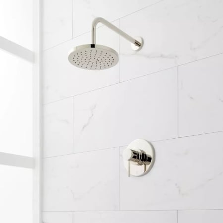 Polished Nickel