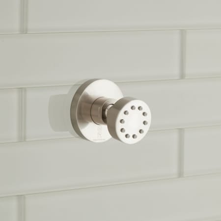 Signature Hardware Classic Swivel Body Spray Brushed Nickel