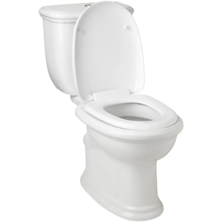 Alternate Image