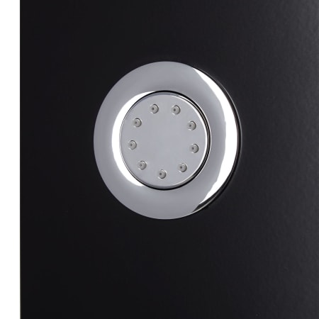 Control and Hand Shower Detail