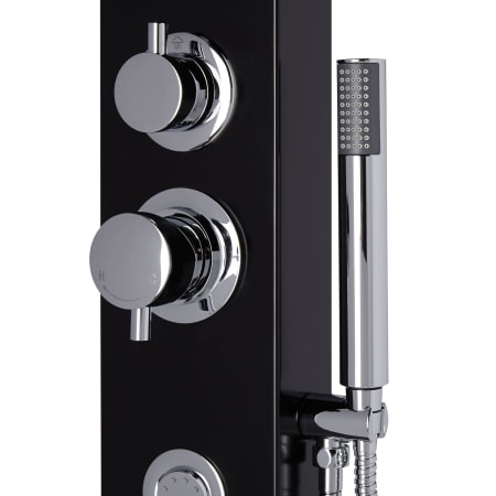 Hand Shower Detail