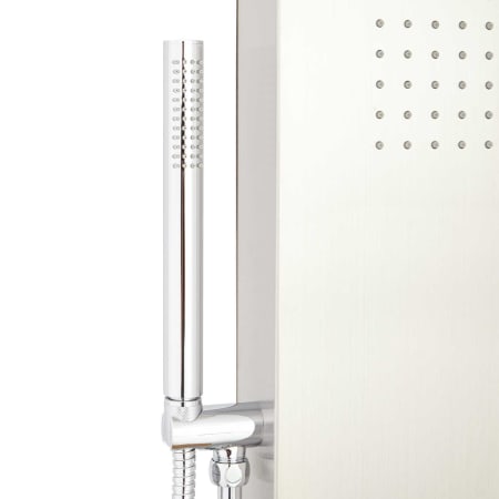 Hand Shower Detail
