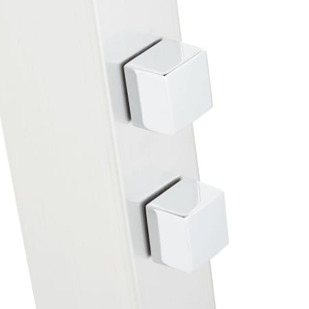 Control Detail