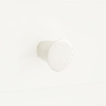 Polished Nickel
