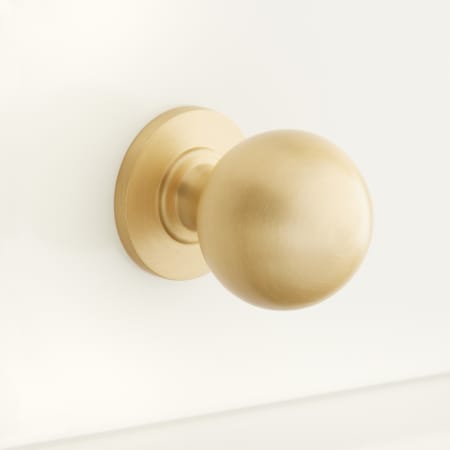 Signature Hardware Rodino Round Cabinet Knob Satin Brass