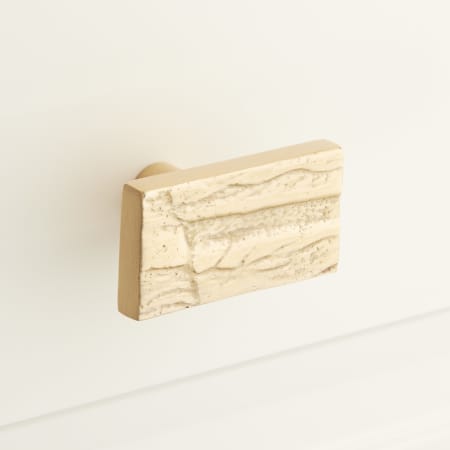Signature Hardware Tree Bark Rectangular Cabinet Knob Satin Brass