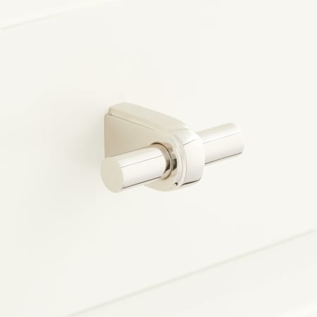 Polished Nickel