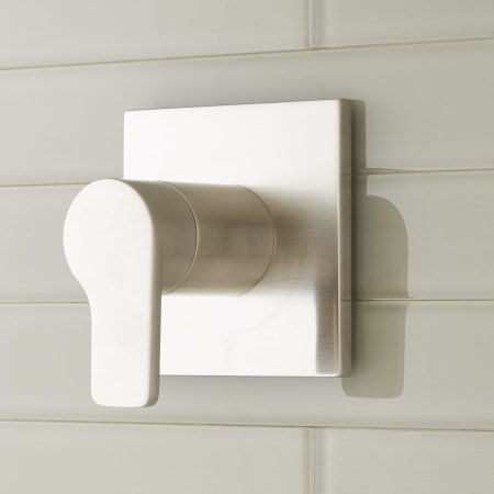 Brushed Nickel
