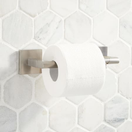 Brushed Nickel