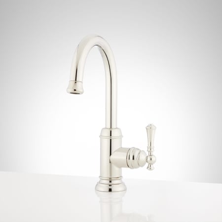 Polished Nickel