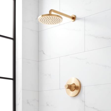 Signature Hardware Lentz Pressure Balanced Shower Only Package with Rainfall Shower Head, Knob Handles, Shower Arm, Valve Trim - Accufit Rough-In Valve Included Brushed Gold