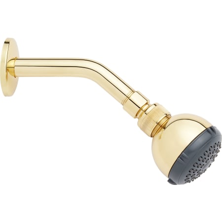 Signature Hardware Glenley 1.8 GPM Single Function Shower Head Polished Brass