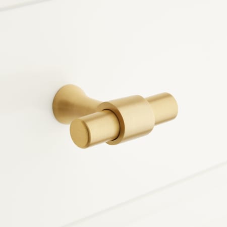 Signature Hardware Strasbourg 1-3/4 Inch Diameter Bar Cabinet Knob Satin Brass