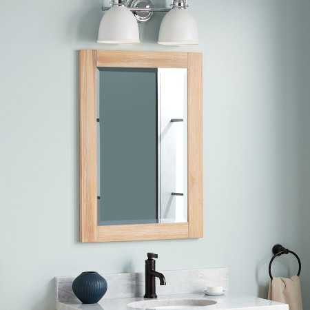Signature Hardware Fallbrook 22-1/8" W x 31-1/2" H Contemporary Rectangular Framed Bathroom Wall Mirror Driftwood Brown