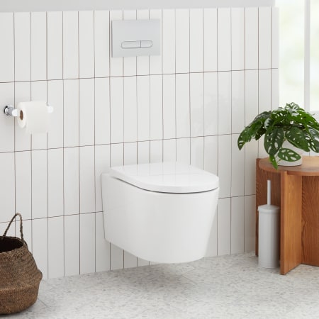 Signature Hardware Arnelle 1.1 / 1.6 GPF Dual Flush Wall Mounted One Piece Elongated Chair Height Toilet with Actuator Plate Flush - Seat and Carrier Included