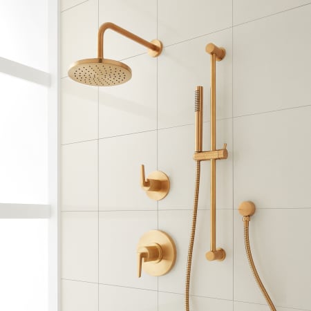 Signature Hardware Drea Pressure Balanced Shower System with Rainfall Shower Head, Hand Shower, Slide Bar, Shower Arm, Hose, and Valve Trim - Accufit Rough-In Valve Included Brushed Gold