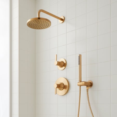 Signature Hardware Lentz Pressure Balanced Shower System with Rainfall Shower Head, Lever Handles, Hand Shower, Hose, Valve Trim and Diverter - Accufit Rough-In Valve Included Brushed Gold