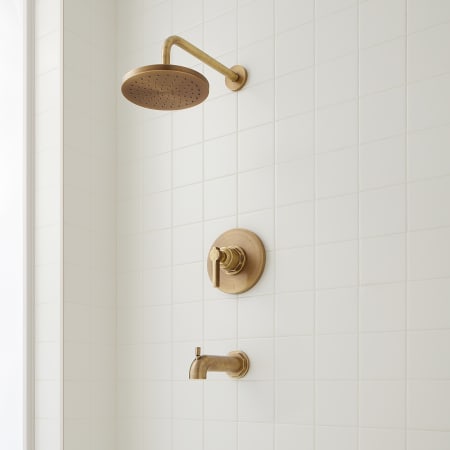 Signature Hardware Greyfield Pressure Balanced Tub and Shower Package with Rainfall Shower Head and Tub Spout - Accufit Rough-In Valve Included Aged Brass