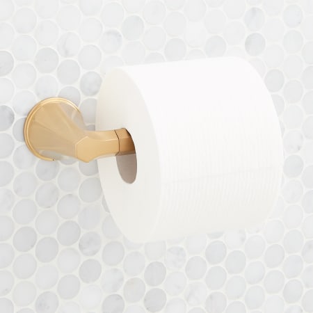 Signature Hardware Elita Wall-Mounted Euro Style Toilet Paper Holder Brushed Gold