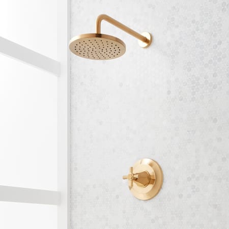 Signature Hardware Elita Pressure Balanced Shower Only Package with Rainfall Shower Head and Cross Handle - Accufit Rough-In Valve Included Brushed Gold