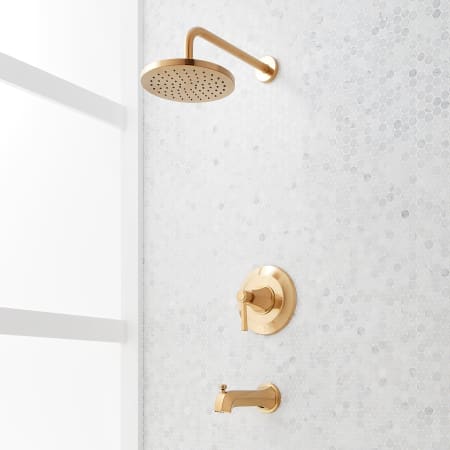 Signature Hardware Elita Pressure Balanced Tub and Shower Package with Rainfall Shower Head, Lever Handle, and Tub Spout - Accufit Rough-In Valve Included Brushed Gold