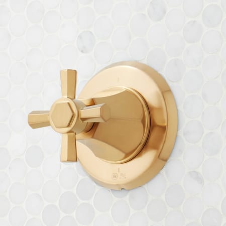 Signature Hardware Elita 6 Function Diverter Valve Trim with Cross Handle - Less Valve Brushed Gold