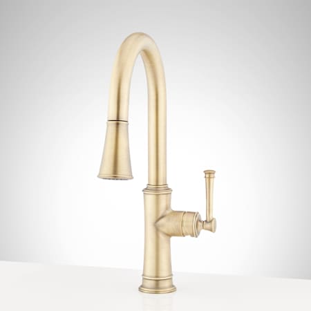 Signature Hardware Beasley 1.75 GPM Single Hole Pre-Rinse Kitchen Faucet Aged Brass