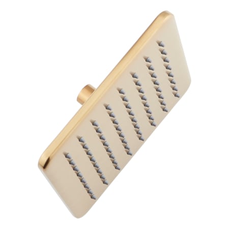 Signature Hardware Berwyn 2.5 GPM Single Function Rain Shower Head Brushed Gold