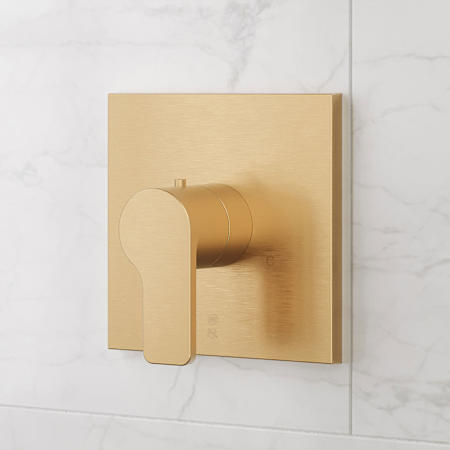Signature Hardware Hibiscus Thermostatic Shower Valve Brushed Gold