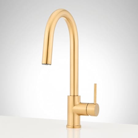 Signature Hardware Ravenel 1.8 GPM Single-Hole Pull Down Kitchen Faucet with Concealed Sprayer Brushed Gold