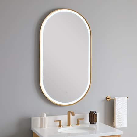 Signature Hardware Faysel 24"W x 43"H Oval Framed Bathroom Mirror with LED Lighting Brushed Gold