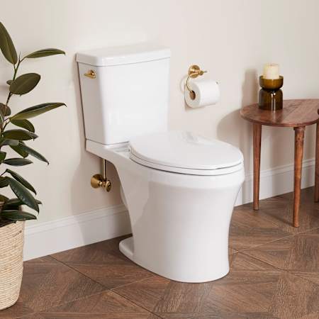 Signature Hardware Millspring 1.0 GPF Two Piece Elongated Toilet - ADA Compliant, Seat Included White / Brushed Gold Lever