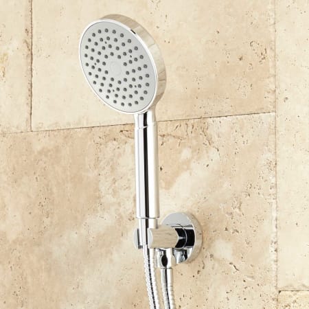 Signature Hardware-931419-Hand Shower - Chrome