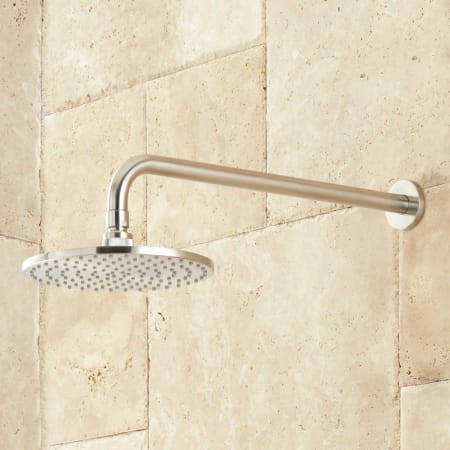 Signature Hardware-931419-Shower Head - Brushed Nickel