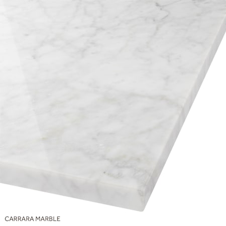 Signature Hardware-941082-1-Carrara Marble Close Up
