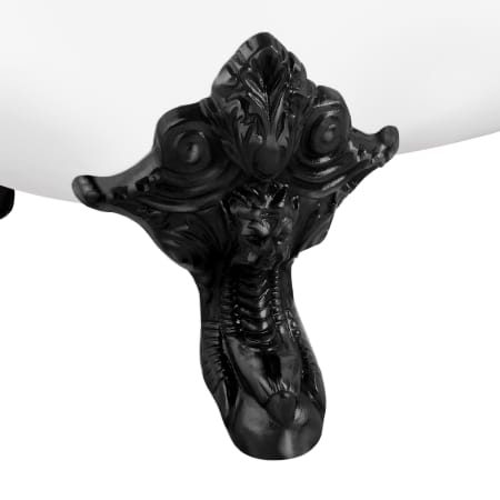 Alternate Image