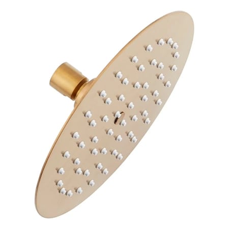 Signature Hardware 2.5 GPM 8" Wide Contemporary Rain Shower Head Brushed Gold