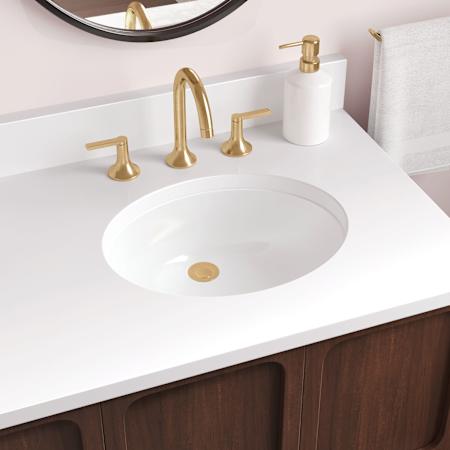 Signature Hardware Mangrove 21" Porcelain Undermount Bathroom Sink with Overflow White